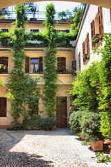 Picturesque courtyard with plants in Verona, Italy