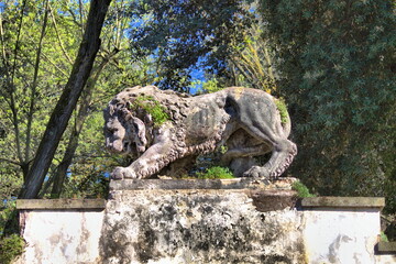 Fototapeta na wymiar Ancient mossy overgrown lion stone in Villa Borghese