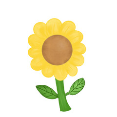 Yellow flowers watercolor painting on transparent background.Element file png .
