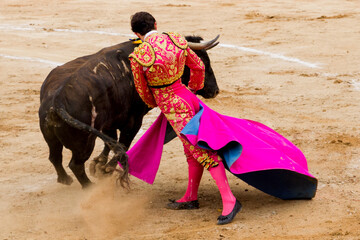 Torero en traje de luces haciendo faena
