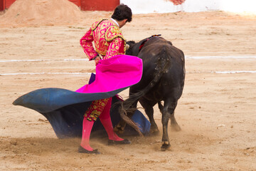 Torero en traje de luces haciendo faena