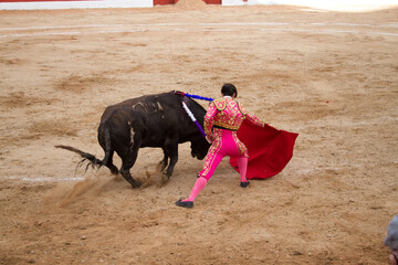 Torero en traje de luces haciendo faena