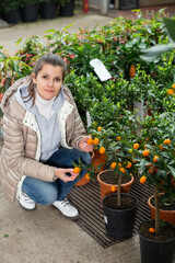 Portrait of young woman buying fruit bonsai citrus tree