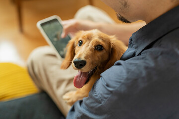 飼い犬を抱きながらスマートフォンを見る男性