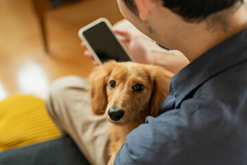 飼い犬を抱きながらスマートフォンを見る男性