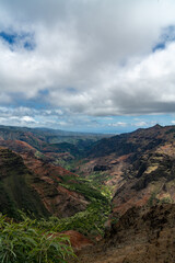 Beautiful view at the Waimea Canyon State Park in Hawaii
