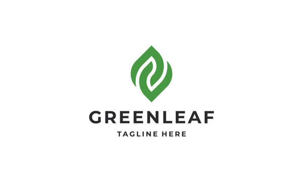 Abstract green leaf logo design vector