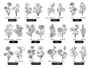 Birth Flowers Vector Line Art Minimal Style Drawing