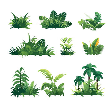 Jungle vegetation set vector isolated