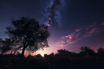 Obraz na płótnie Canvas Evening sky with purple hue, wispy clouds and stars in the backdrop. Generative AI