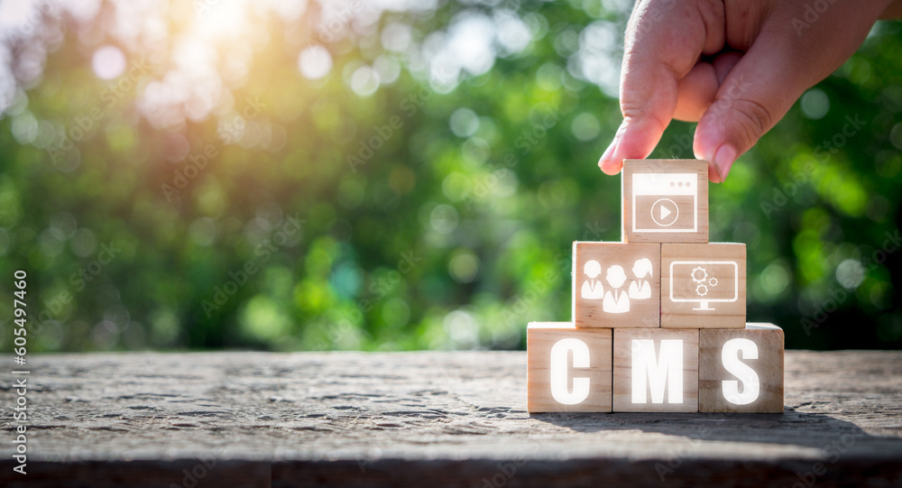 Aufkleber cms, content management system concept, person hand holding wooden block with content management sys