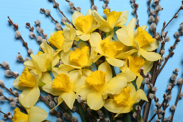 Bouquet of beautiful yellow daffodils and willow flowers on light blue wooden table, top view