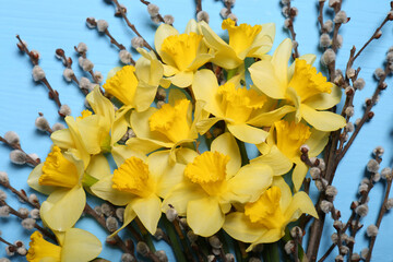 Obraz na płótnie Canvas Bouquet of beautiful yellow daffodils and willow flowers on light blue wooden table, top view