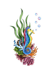 Watercolor illustration of a blue seahorse with corals and algae. Sea bottom. Composition for posters, greeting cards, banners, flyers, covers, posters and other printing products. Isolated on white 