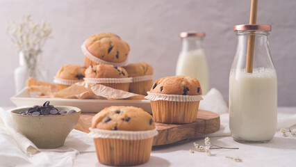Obraz na płótnie Canvas Chocolate chip muffins with milk