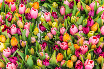 Colourful fresh tulips on sale in flower market, Amsterdam, Netherlands, Europe