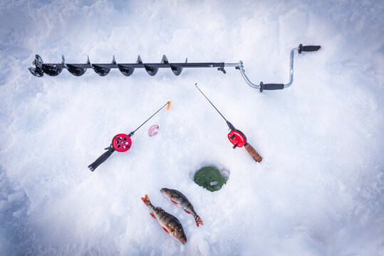 Ice drill, fishing rods and catch of fish close to ice hole, Lapland, Sweden, Scandinavia, Europe