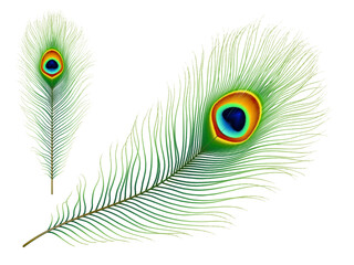 Peacock feather. Exotic tropical bird realistic vector colorful green feather with eye iridescent pattern. Peafowl tail or phoenix magic bird isolated plumage, elegant decoration element