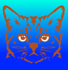 cat on a blue background vector