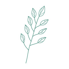 Leaf Line Art