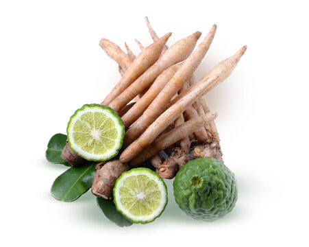 Bergamot,Fingerroot,Kaempfer  isolated white background on   transparent.