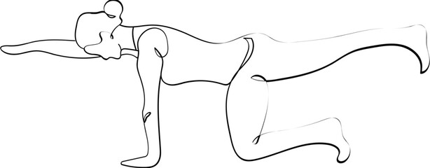 Bird Dog Pose Yoga Illustration