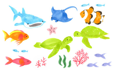 手書きのかわいい海の生き物　イラスト　水族館　ほっこり　ジンベイザメ　エイ　ウミガメ　熱帯魚　夏　海　イメージ　セット　