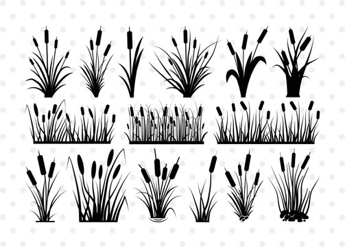 Cattail SVG Cut Files | Cattail Silhouette | Bulrush Plant Svg | Grass Svg | Reeds Svg | Cattail Flower Svg | Cattail Bundle