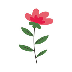 Flower Vector Illustration