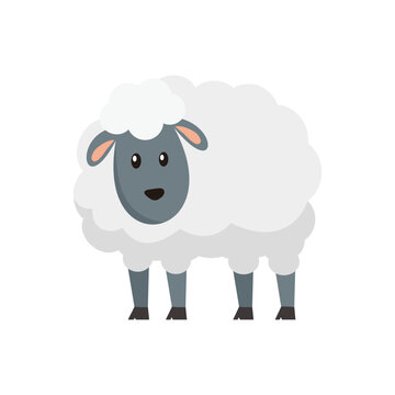 Sheep Cartoon Illustration
