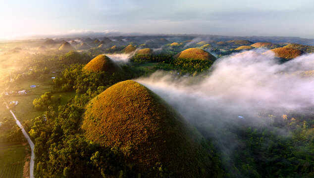The Chocolate Hills are a geological formation in the Bohol province of the Philippines. They are covered in green grass that turns brown during the dry season, hence the name.