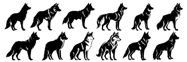 Wolf silhouettes set, large pack of vector silhouette design, isolated white background