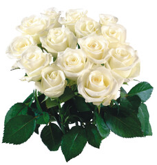 beautiful bouquet of flowers for your love