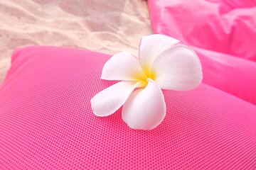 Obraz na płótnie Canvas Plumeria white flower on pink chair with sand beach, concept spa, aroma, topical summer, luxury, vacation, holiday, beautiful, blossom, ocean, travel 