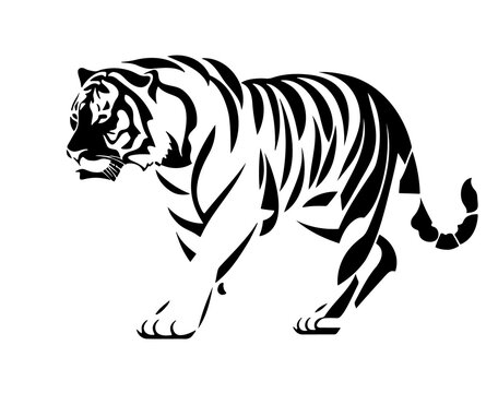 Tiger isolated on transparent background. Wild Animals.