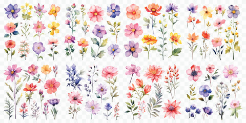 A Big watercolor floral package collection. Use by fabric, fashion, wedding invitation, template, poster, romance, greeting, spring, bouquet, pattern, decoration and textile.