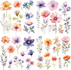 A Big watercolor floral package collection. Use by fabric, fashion, wedding invitation, template, poster, romance, greeting, spring, bouquet, pattern, decoration and textile.