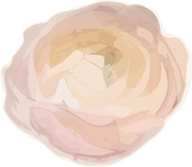 navy blue red and white rose