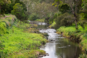 A calm tranquil scene of Merri Creek flowing through the suburbs of Melbourne, Australia