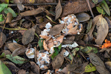 Kitchen waste added to other organic plant material in the lower layers of a raised bed being prepared in a garden