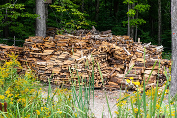 grande quantité de bois coupé sur un terrain lors d'une journée d'été