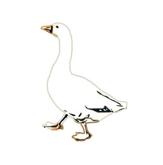 sketch of a swan with transparent background