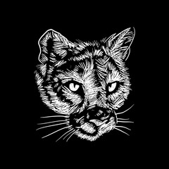 Cougar face sketch drawing with white lines and black background.