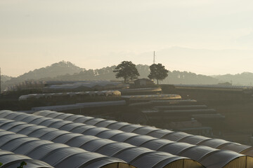 Morning fog cover on greenhouse at Dalat, Vietnam.
