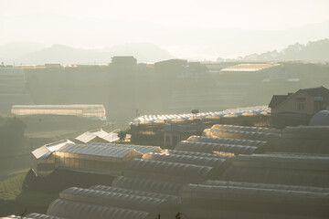Morning fog cover on greenhouse at Dalat, Vietnam.