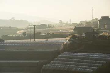 Morning fog cover on greenhouse at Dalat, Vietnam.