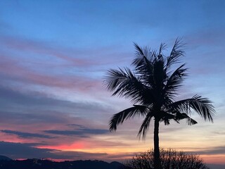 Blue sunset to Ko Samui in Thailand. Palm tree shadow and purple sky.