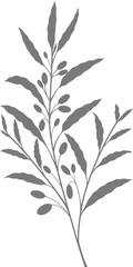Naklejka premium branch with leaves