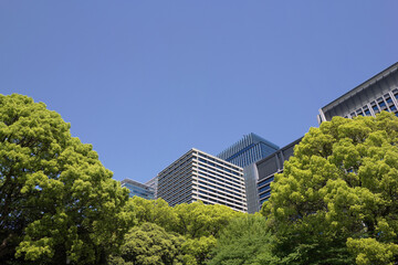 Fototapeta premium Looking up at office buildings in Otemachi through fresh green trees at Otemon in Chiyoda Ward, Tokyo.Photo taken in April 2023.