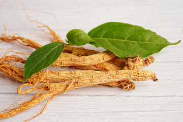 Ginseng roots and green leaf, healthy food.